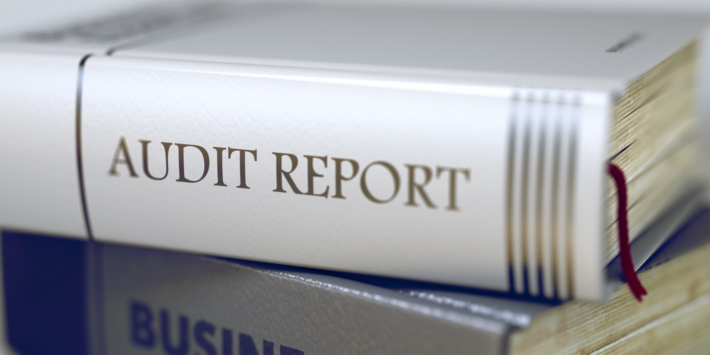 Cotorul unei cărți cu titlul „Audit Report”, într-un teanc de volume